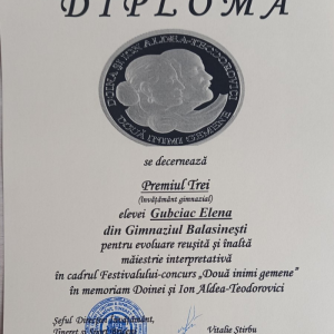 Festivalul-concurs DOUĂ INIMI GEMENE, etapa raională