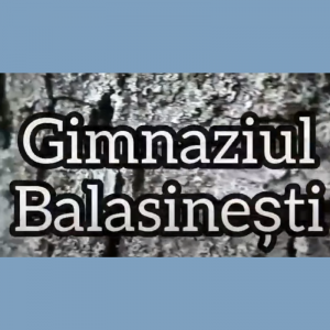 Concursul republican „Limba noastră-i o comoară”, ediția a IV-a, etapa raională
